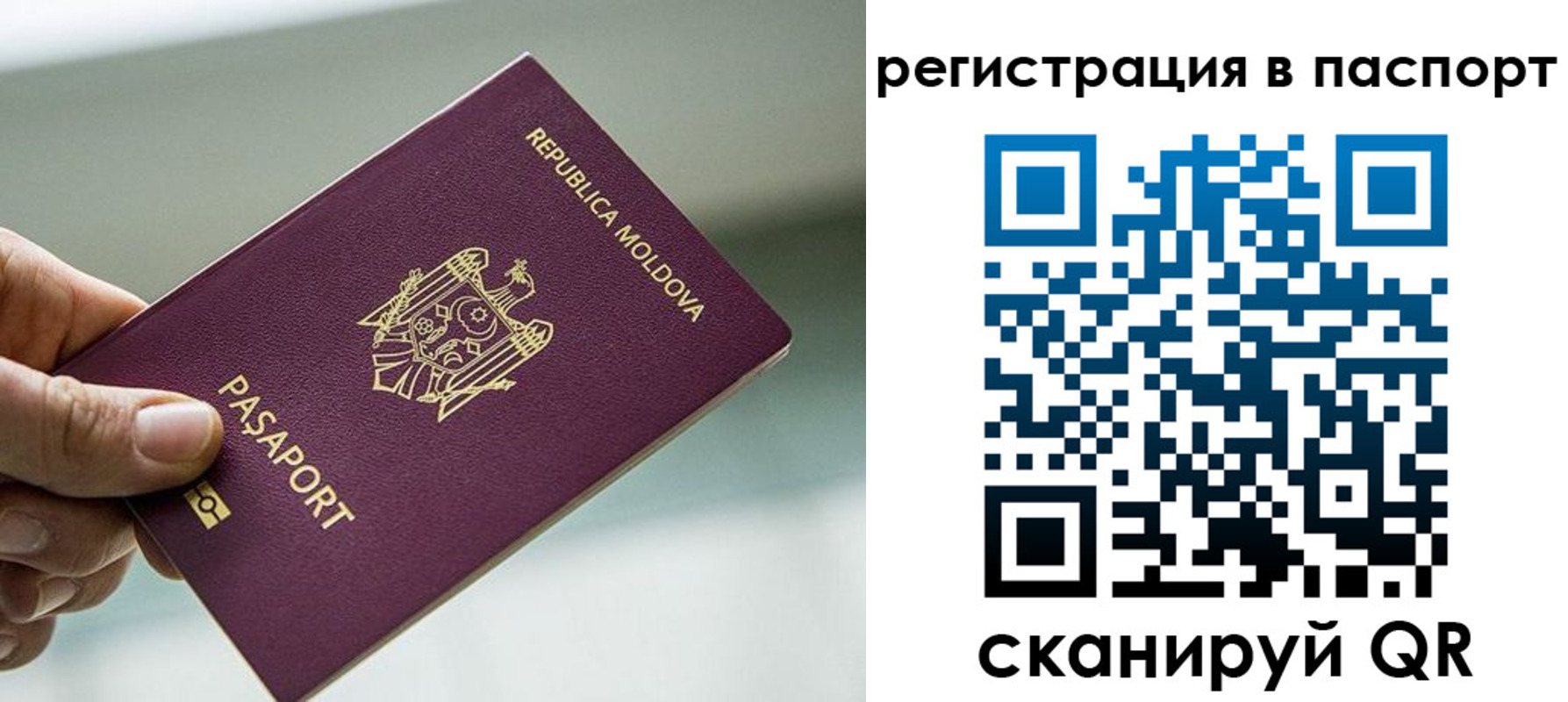 прописка ребенка в Рязани